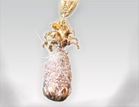 Custom Jewelery in Ocala Florida