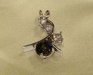 custom jewelry Ocala